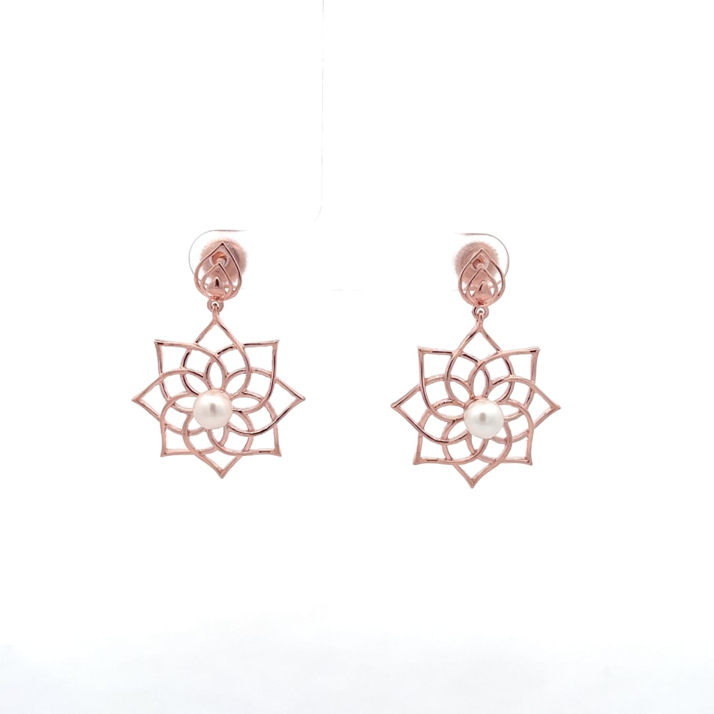 The Bisil Drop Earrings
