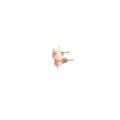The Amorelle Kids Stud Earrings - thumb 2