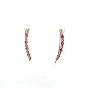 The Opaline Ear Climbers - thumb 5