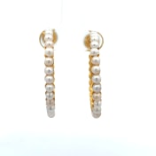 The Makena Hoop Earrings - thumb 1