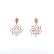 The Bisil Drop Earrings - thumb 1