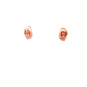 The Noireleaf Stud Earrings - thumb 4