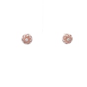 The Angligle Stud Earrings - thumb 3