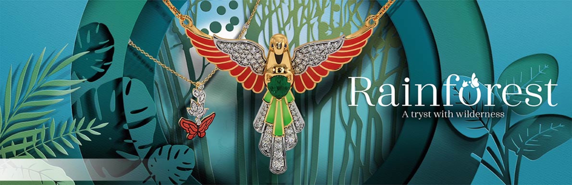 The Rainforest Collection