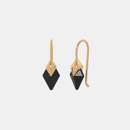 The Shyne Hook Earrings