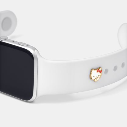 The Spayed Watch Pin