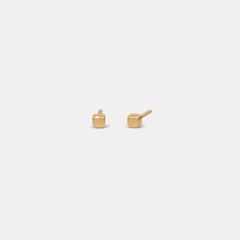 The Guapa Kids Stud Earrings - image 1
