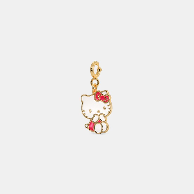 The Munchkin Kids Multiwearable Charm - image 1