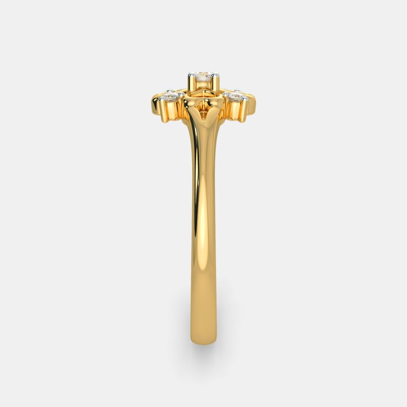 The Manor Ring - image 4