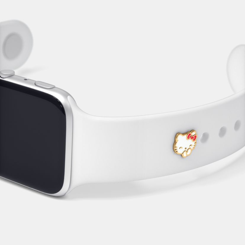 The Spayed Watch Pin - image 1