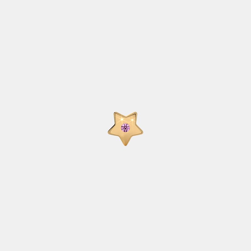The Shimmer Star Stud Earrings - image 5
