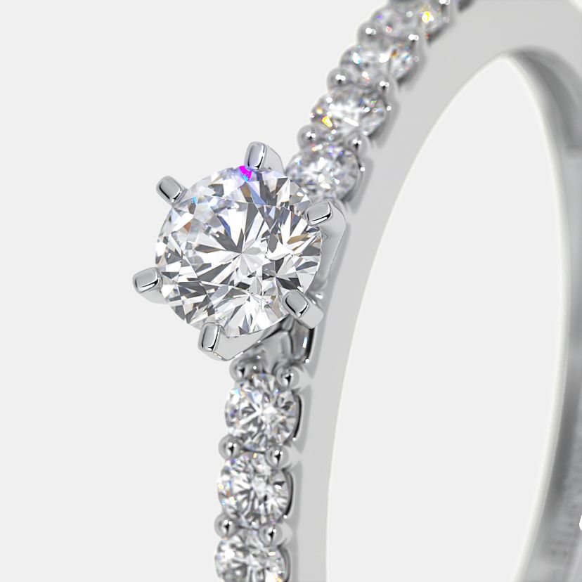 The Crowned Ring - image 5