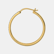 The Delkash Hoop Earrings - thumb 4